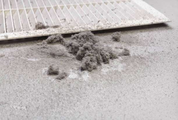 Best HVAC Duct Inspection Services  in Charleston, MO